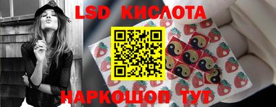 шишки Конаково