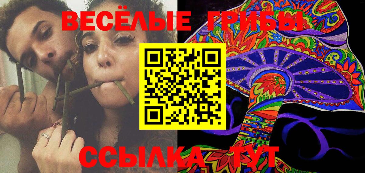 Псилоцибиновые грибы Psilocybine cubensis Кропоткин