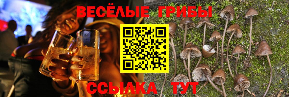 Псилоцибиновые грибы мухоморы  Вход с VPN  как найти закладки  Кропоткин 